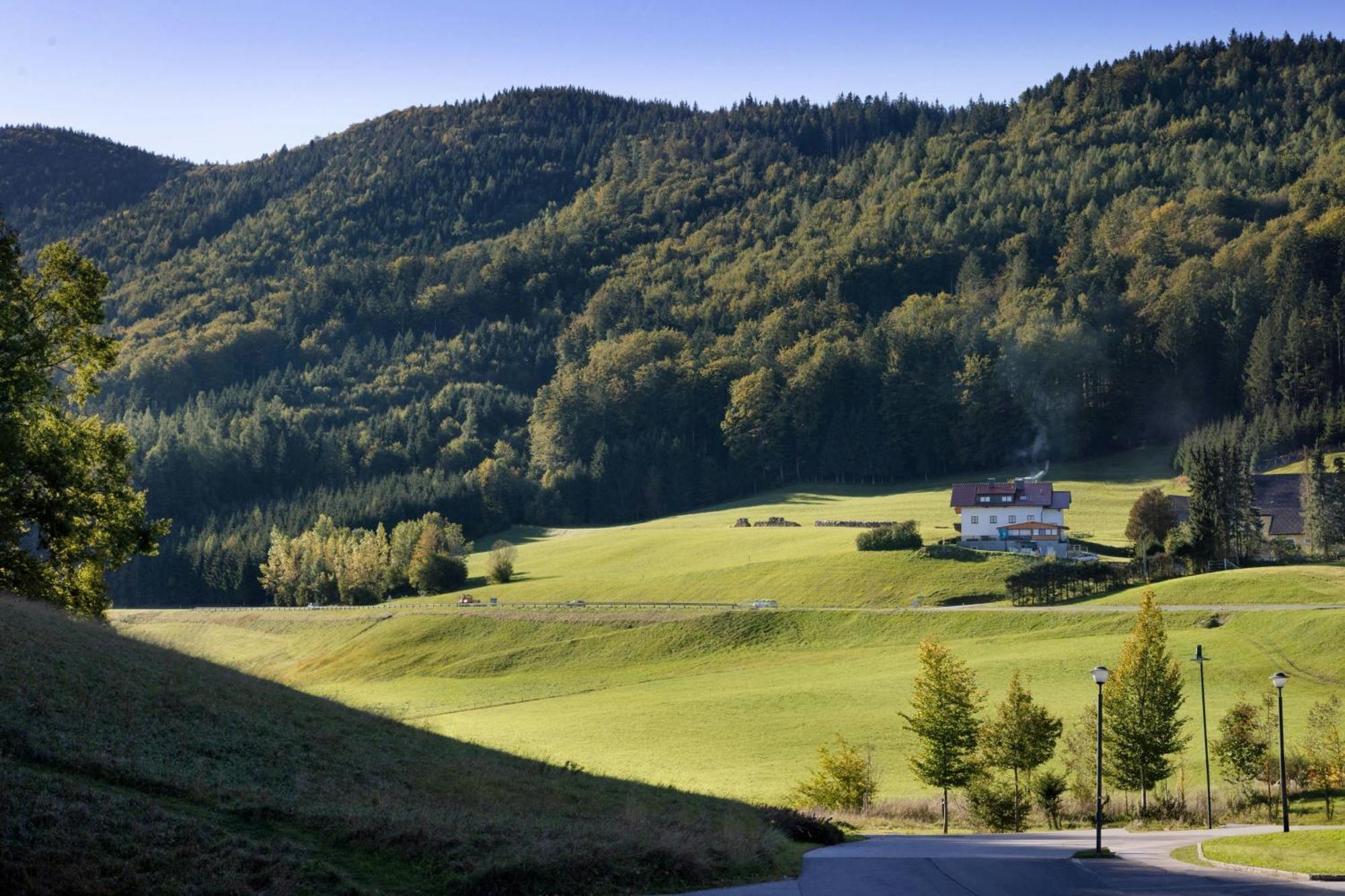 Arabella Jagdhof Resort Am Fuschlsee, A Tribute Portfolio Hotel Hof bei Salzburg Exterior foto