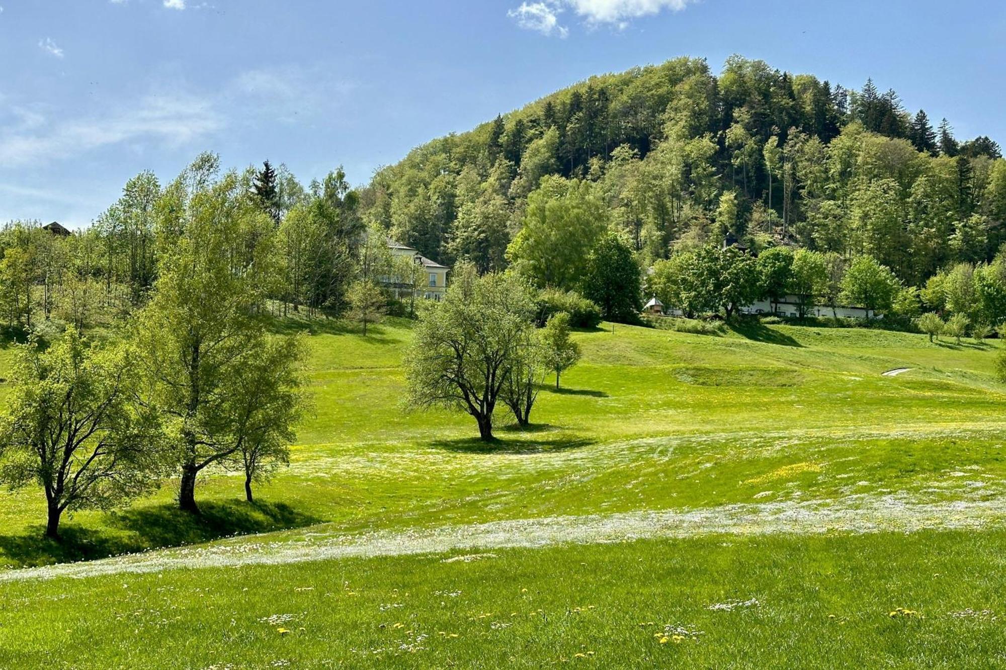 Arabella Jagdhof Resort Am Fuschlsee, A Tribute Portfolio Hotel Hof bei Salzburg Exterior foto